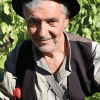 Bernard Dalmas