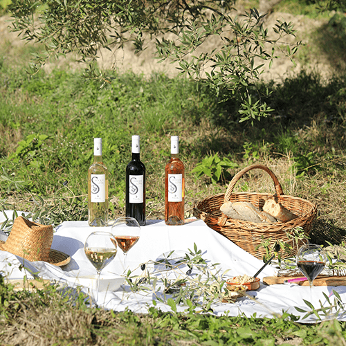 Pic-Nic Bandol
