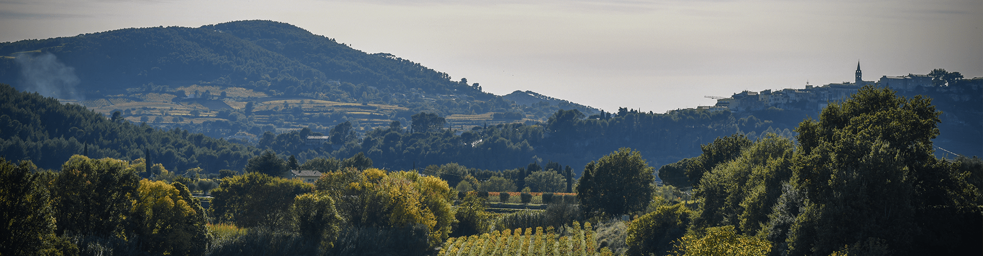 Paysage Bandol